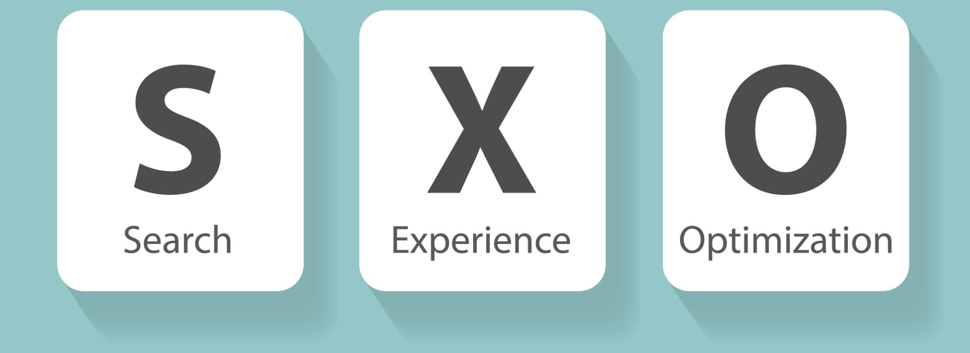 SXO (Search Experience Optimization) – co to takiego?