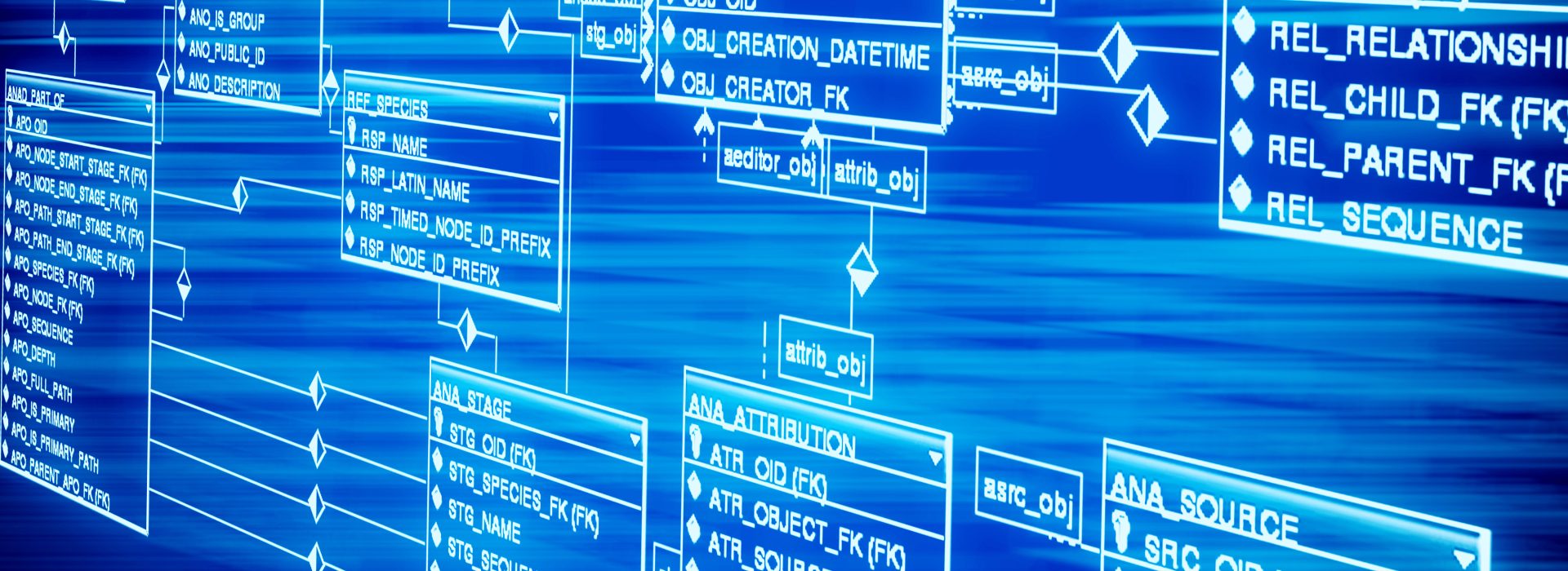 Czym są crawlery i jak działają?